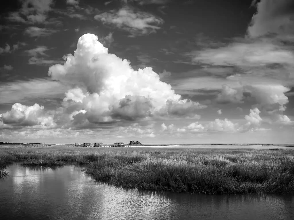 Whispers of Serenity: A Monochrome Marsh Landscape Under Cloudy Skies