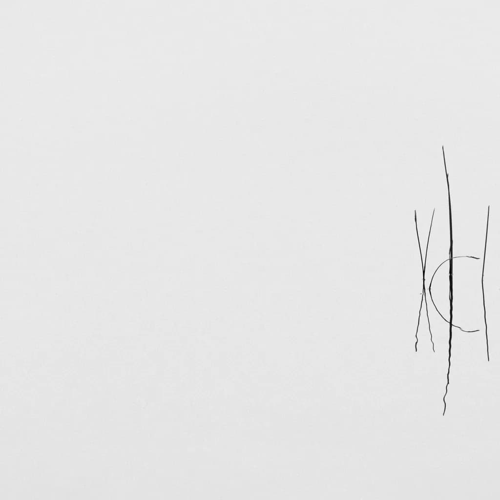 Whispers of Nature: A Minimalist Dance of Lines and Space