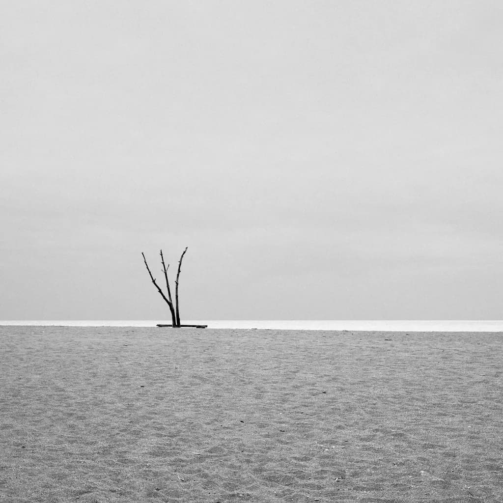 Whispers of Solitude: A Monochrome Landscape of Desolation and Serenity