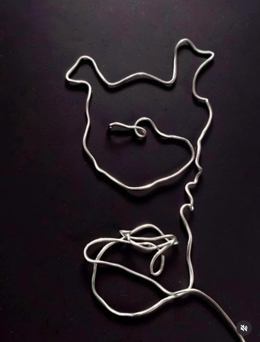 Wire Line Portrait