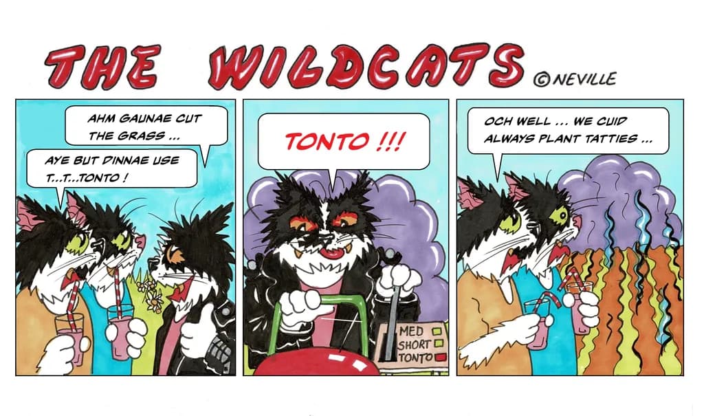 Whiskered Whimsy: The Hilarious Adventures of The Wildcats in Tonto's Garden