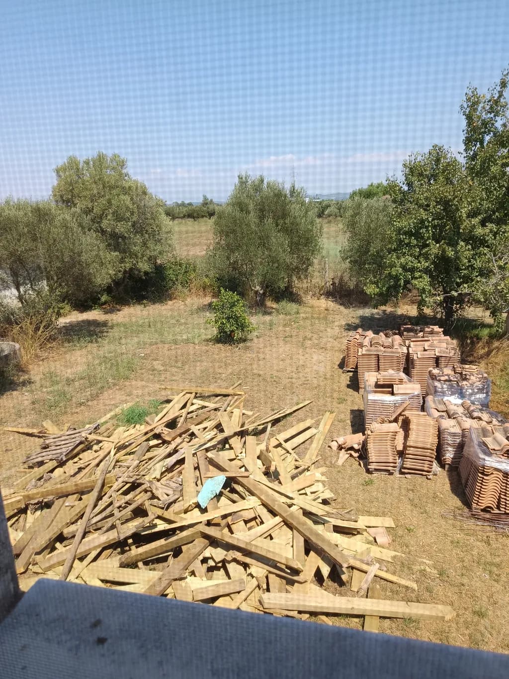 Whispers of Nature: A Rustic Landscape of Wood and Earth