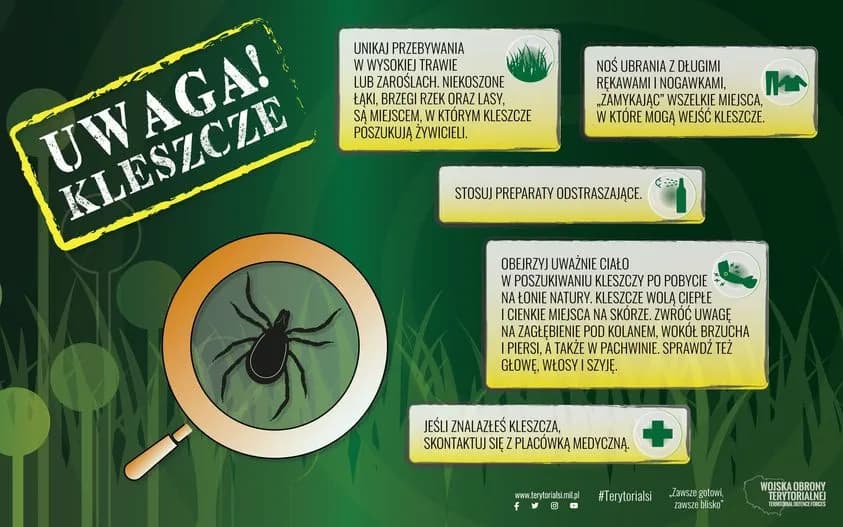 Stay Safe: Essential Tips for Avoiding Ticks in Nature