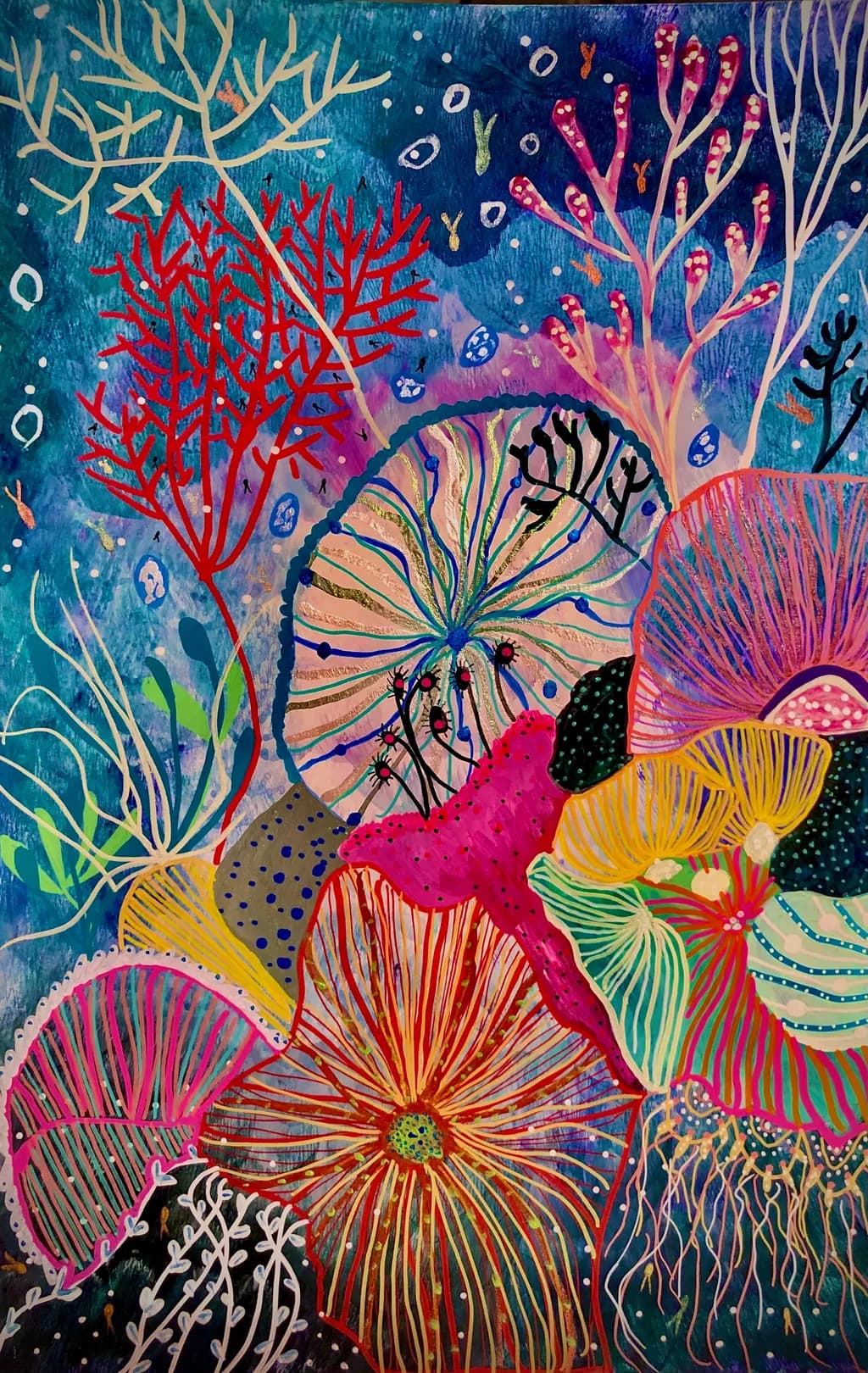 Coral Garden
