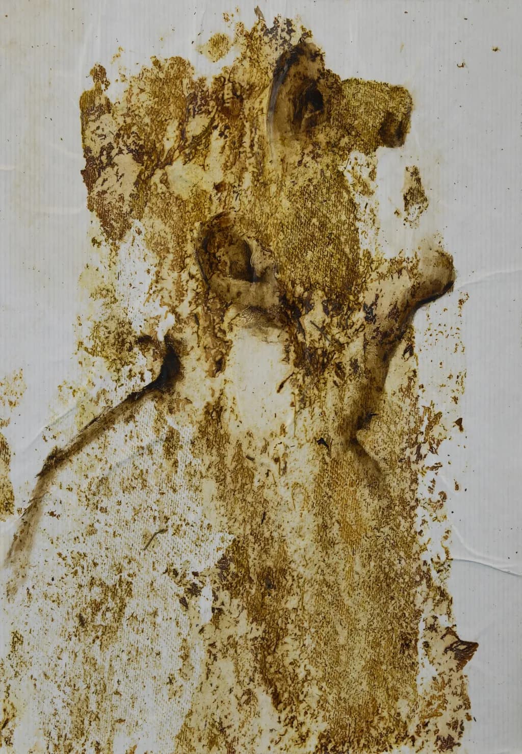 Whispers of Earth: A Textured Journey Through Nature's Palette