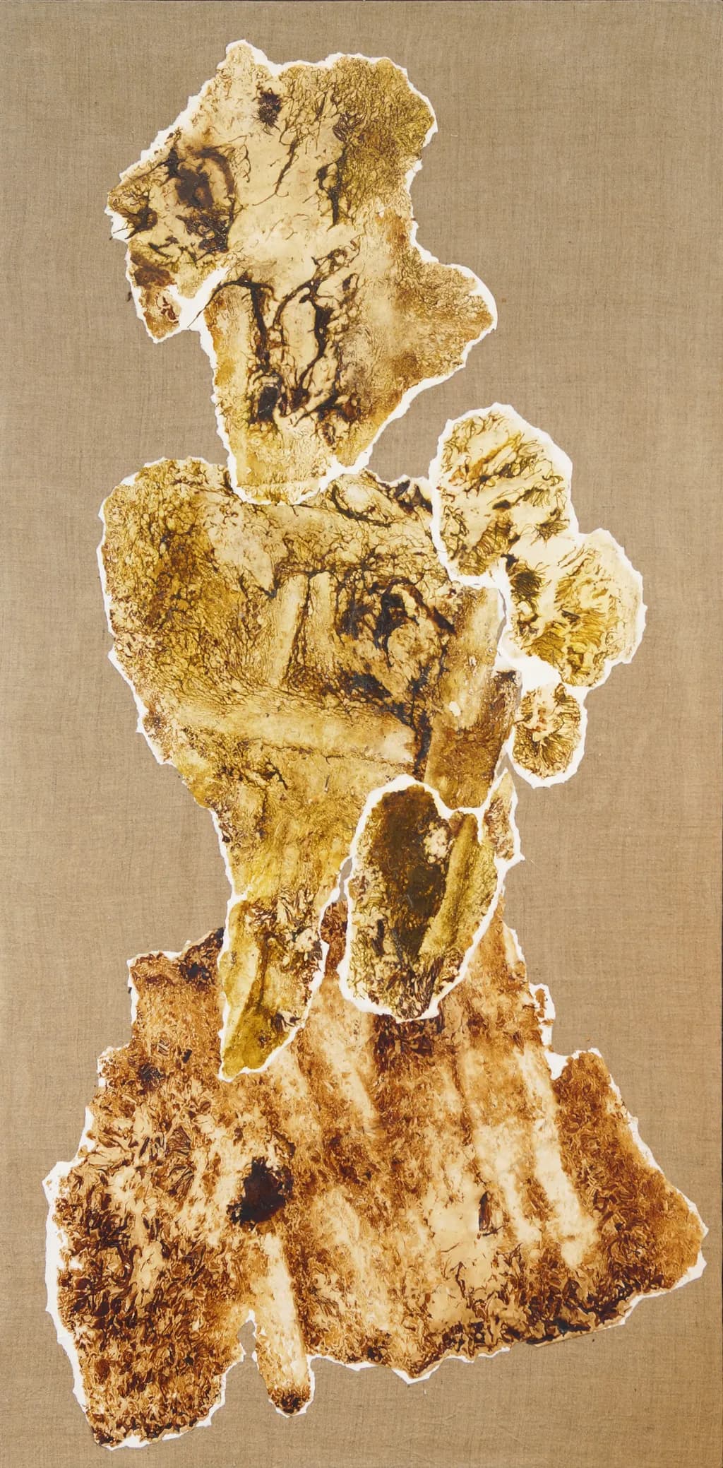 Whispers of Earth: A Textured Journey Through Nature's Palette