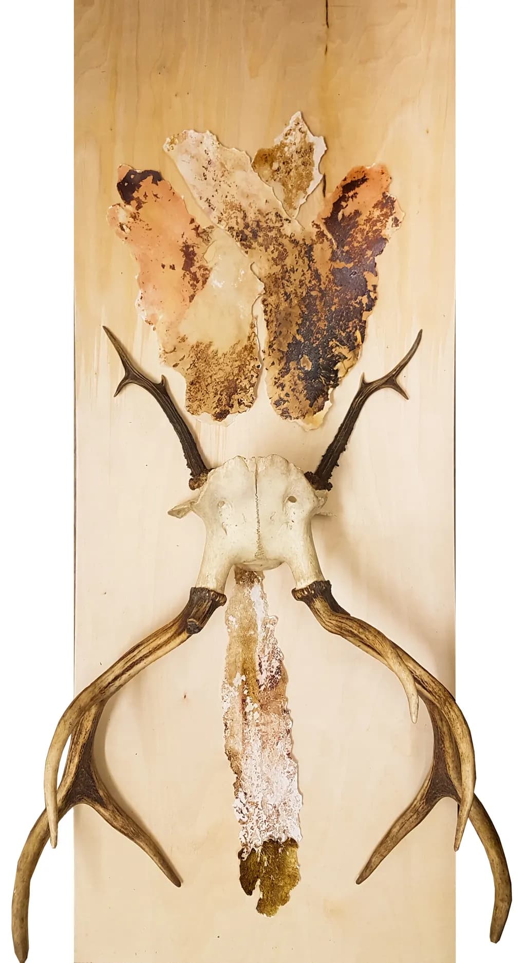 Nature's Embrace: A Fusion of Antlers and Organic Textures