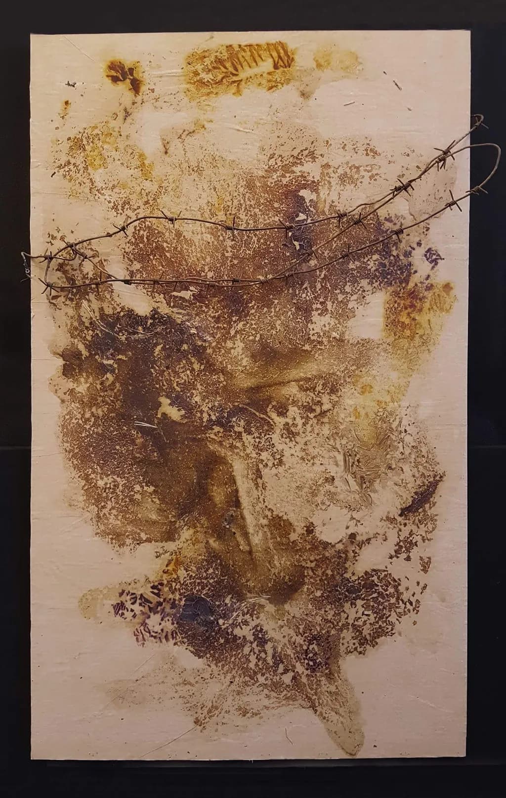 Whispers of Nature: An Abstract Journey Through Earthy Textures and Organic Contrast