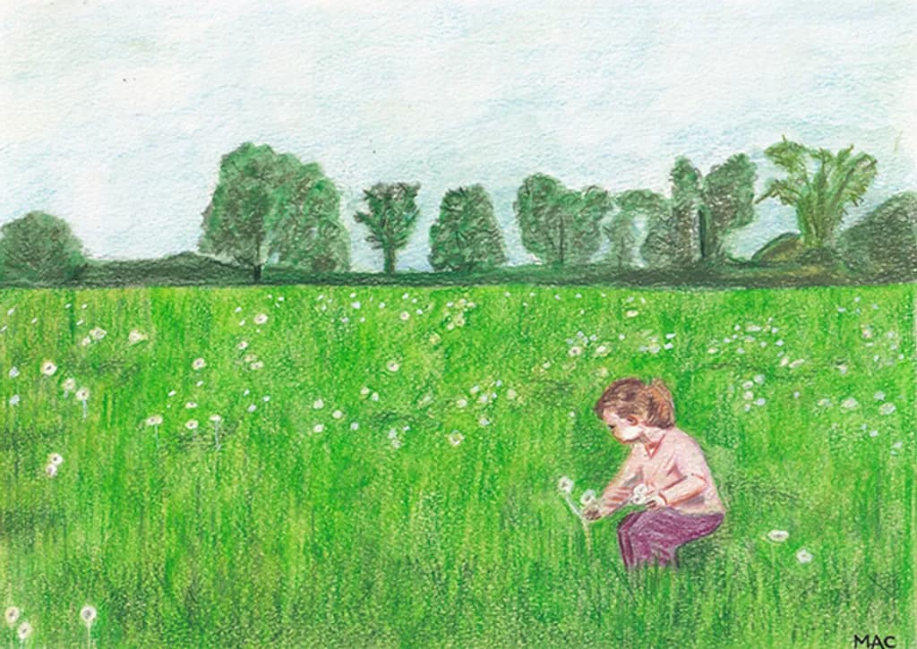 Dandelion Field Play
