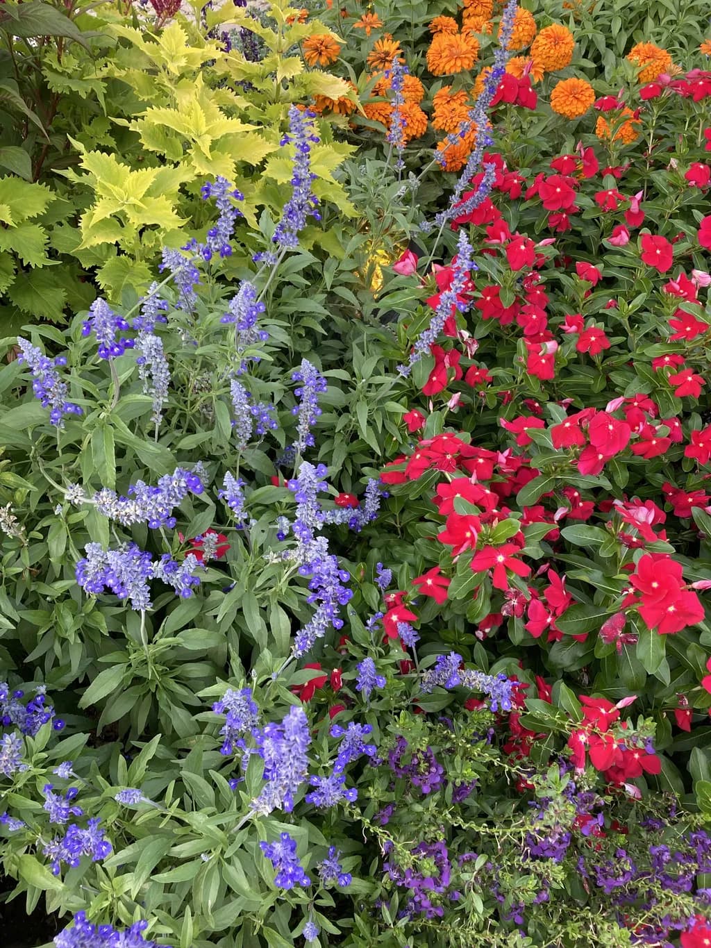 In the Garden I