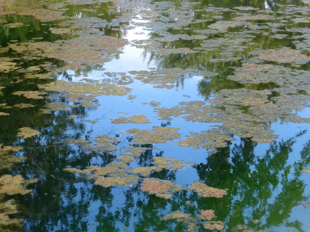 Where Water Meets Sky