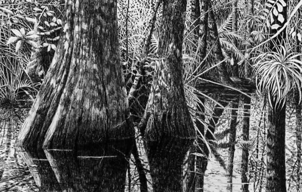 Whispers of the Swamp: A Monochrome Reflection of Nature's Serenity