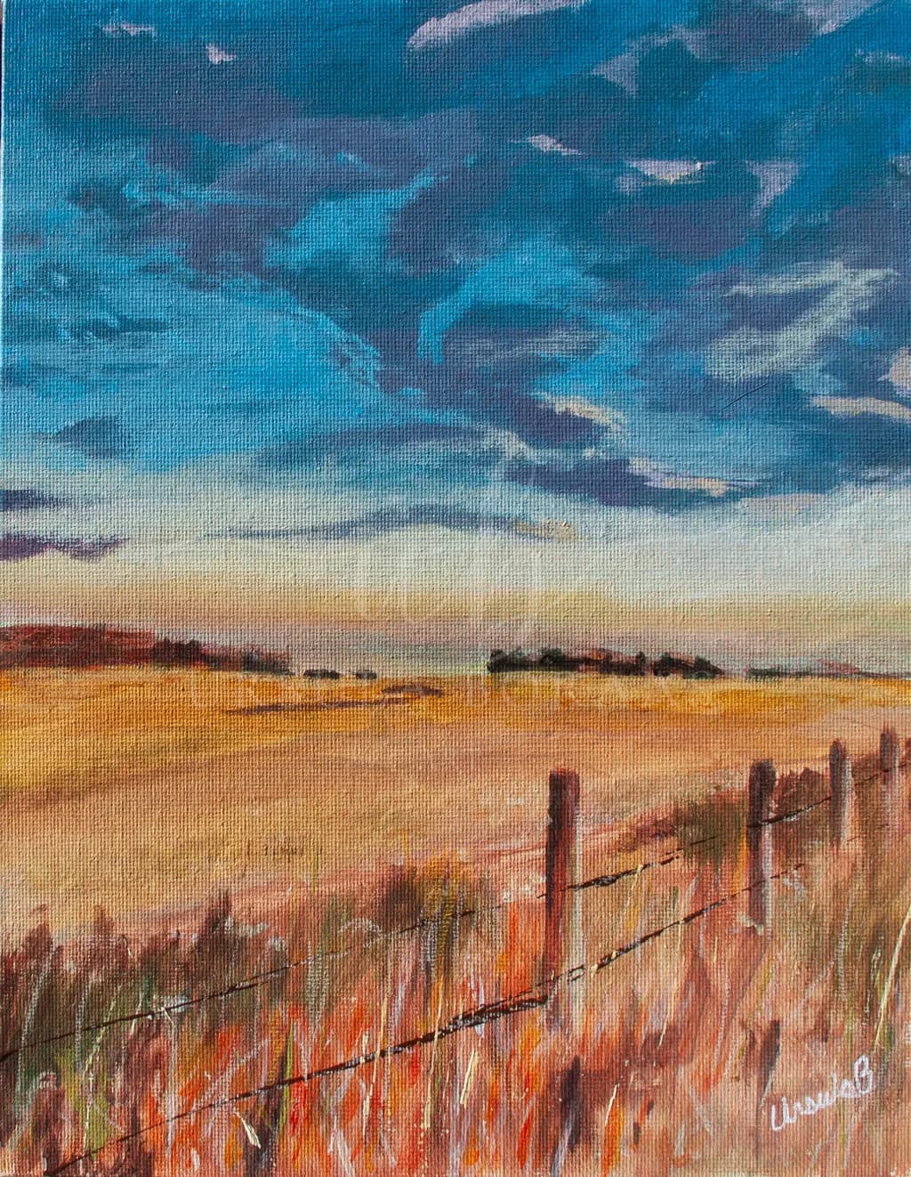 Whimsical Skies: A Colorful Journey Through Fields and Fences