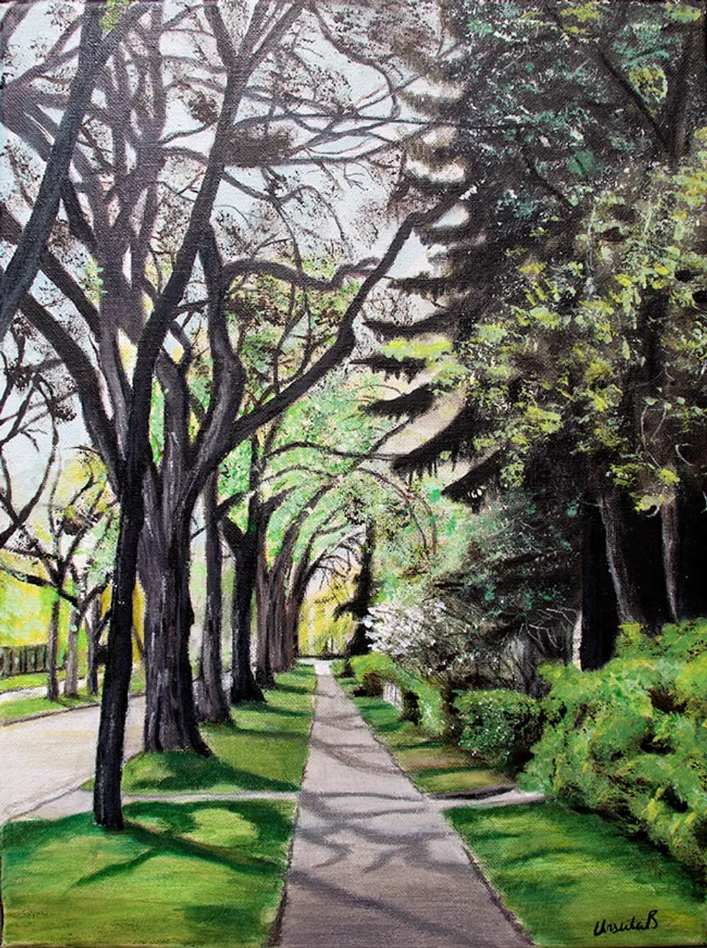 Fresh Morning Green: A Tree's Sidewalk Stroll