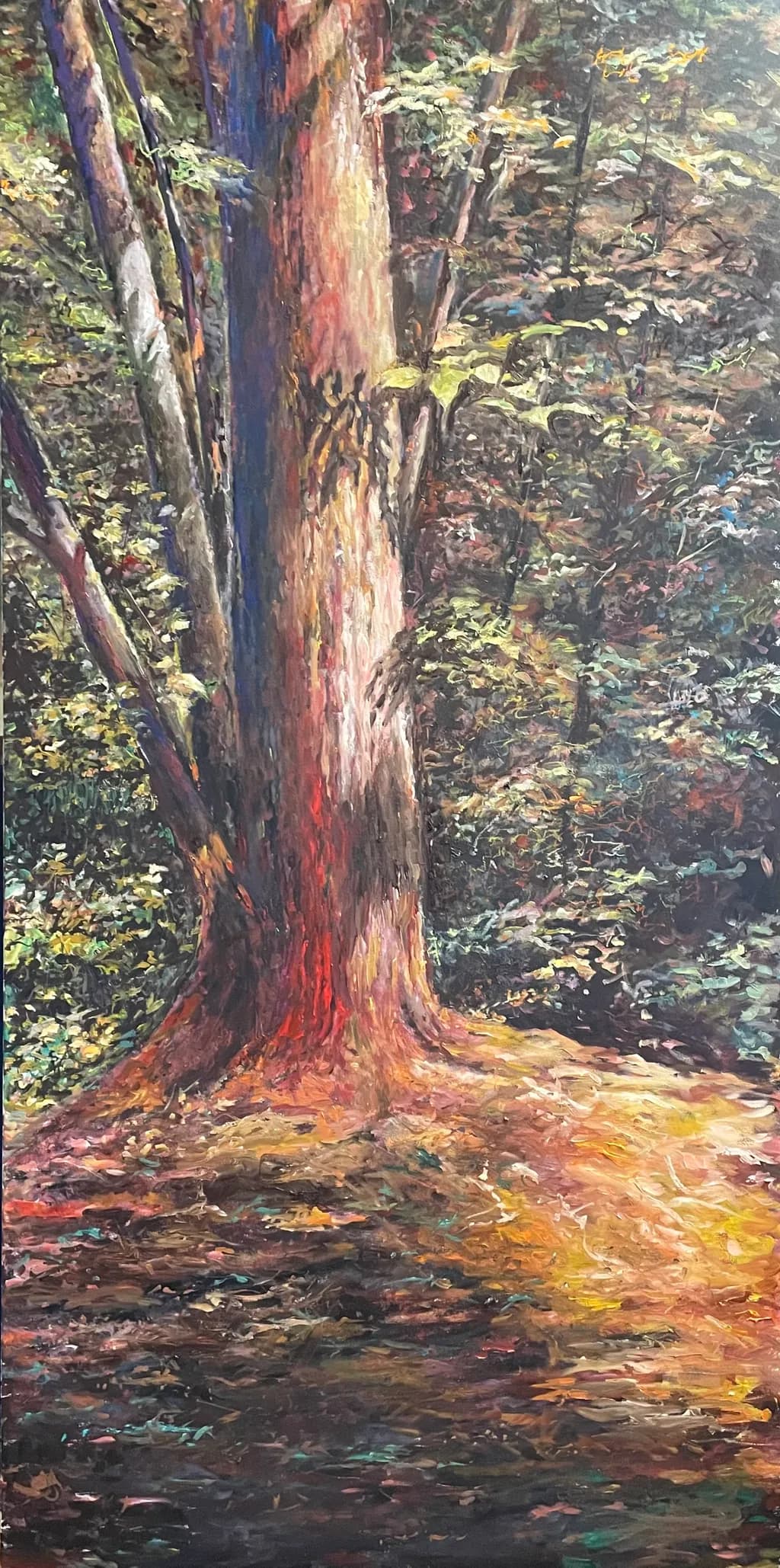 Whispers of the Forest: A Majestic Tree Illuminated by Nature's Palette