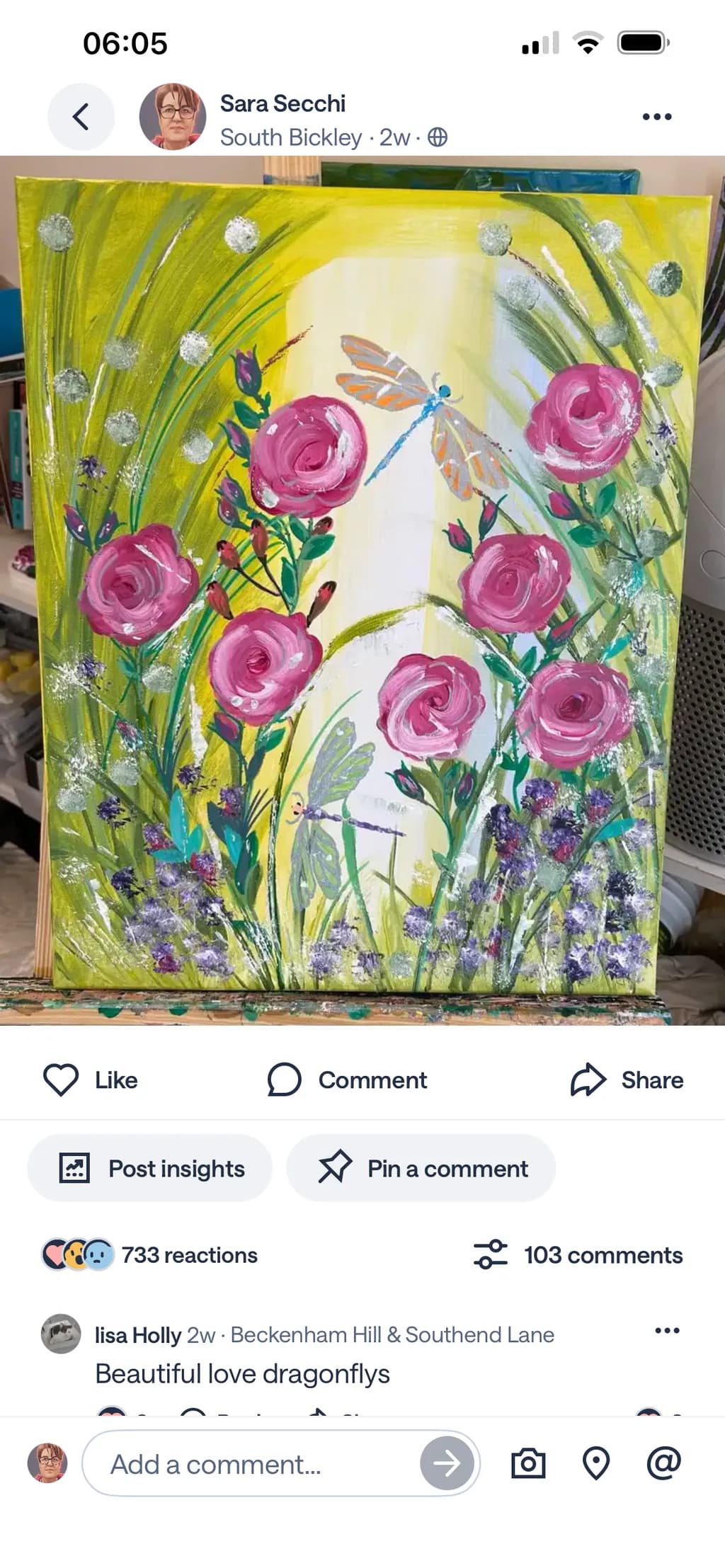 Dragonfly Garden