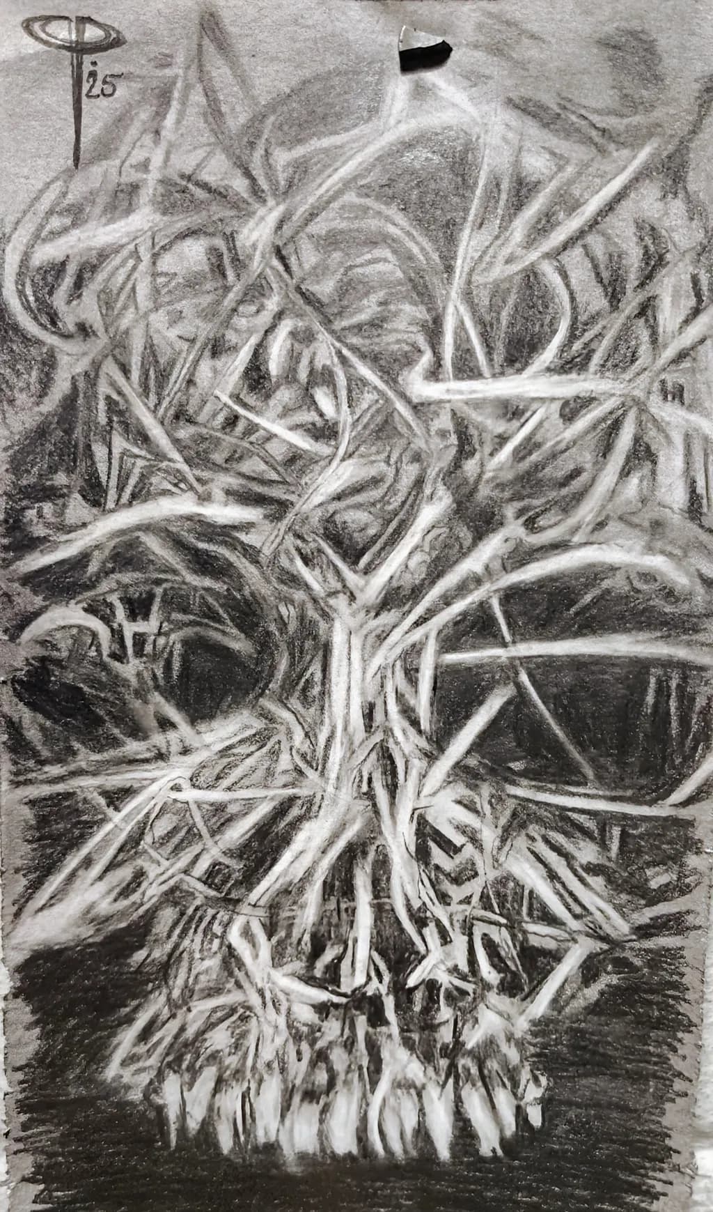 Fractured Roots