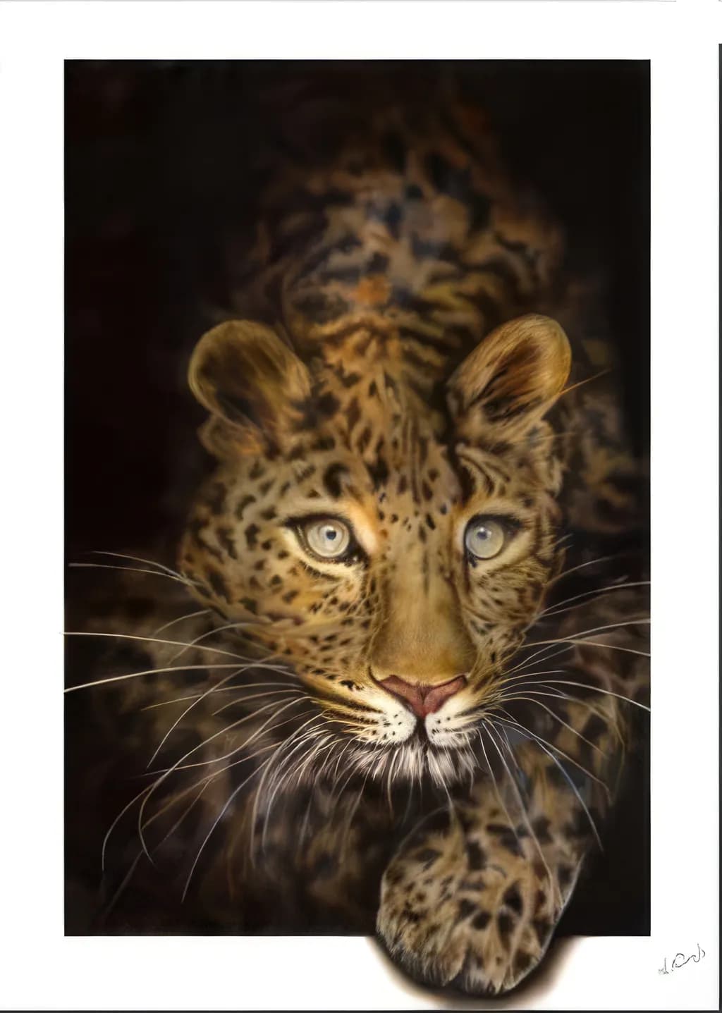 Majestic Gaze: A Realistic Portrait of a Leopard in the Wild