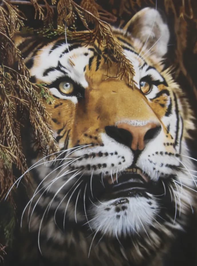Majestic Gaze: The Enigmatic Tiger Behind the Foliage