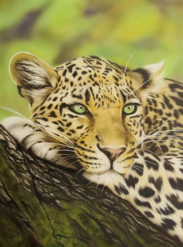 Whispers of the Wild: A Serene Leopard Portrait Amidst Nature's Embrace