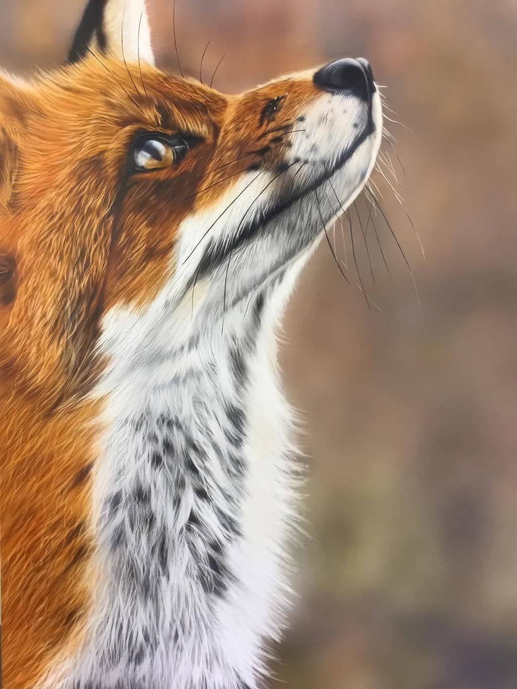 Whispers of the Wild: A Majestic Fox in Contemplation