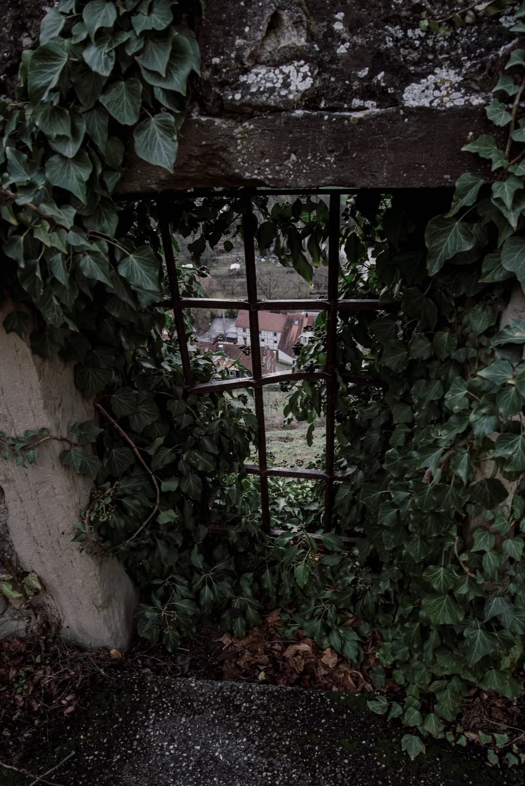 Whispers of Nature: An Abandoned Window Framed by Ivy