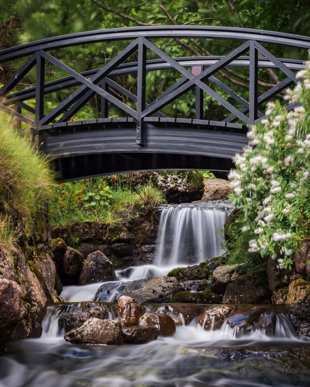 Whispers of Tranquility: A Serene Stream Beneath the Bridge