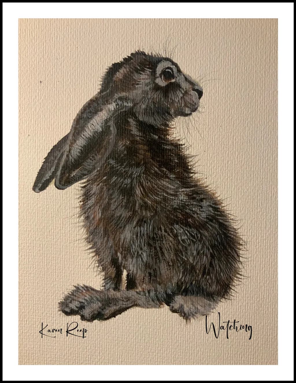 Watching Rabbit