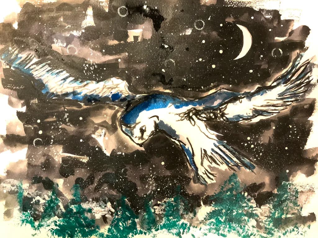 Midnight Flight
