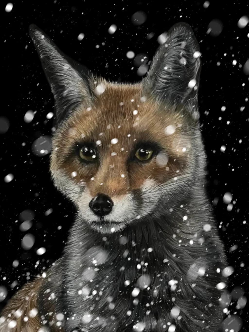 Snowy Fox