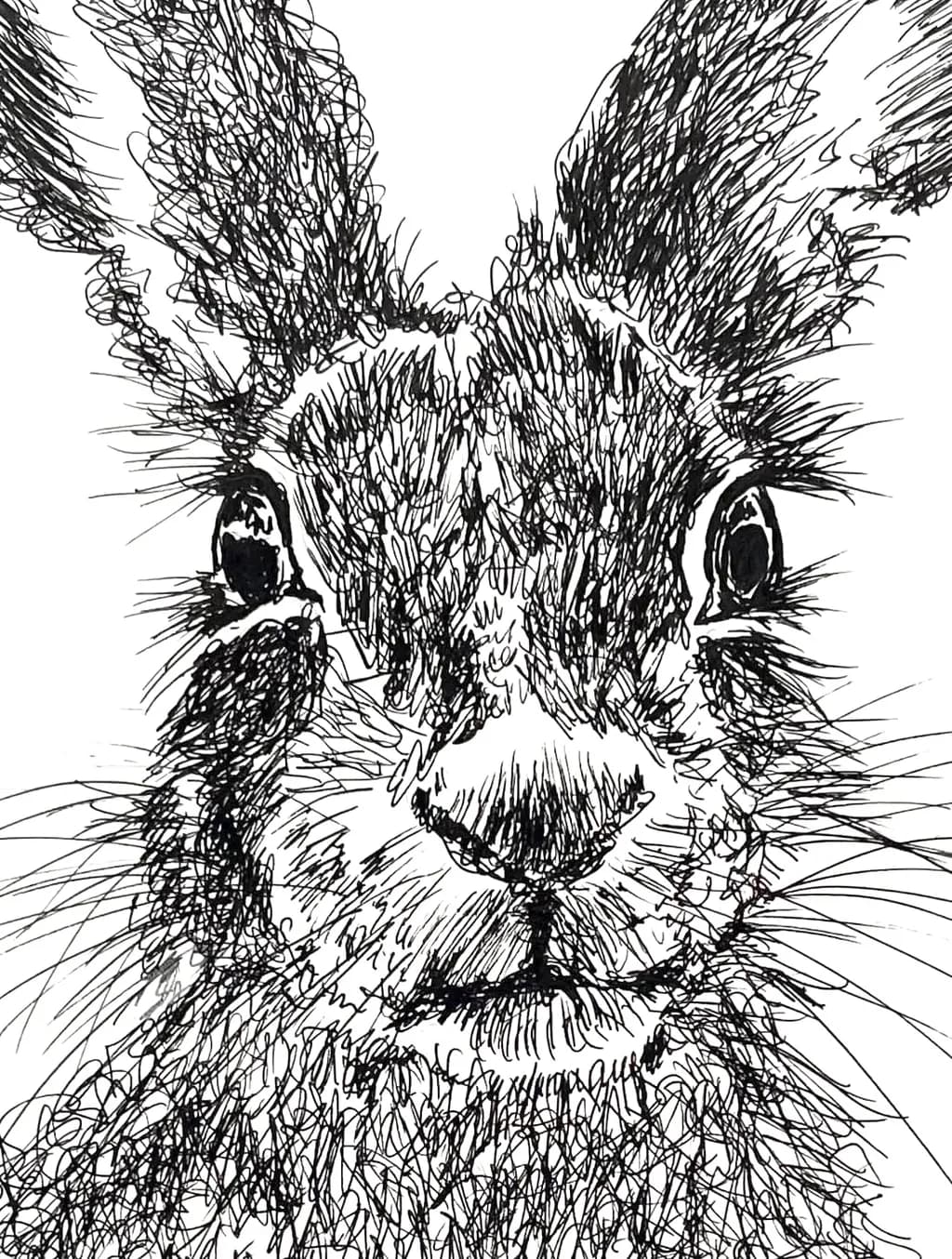 Whiskered Portrait