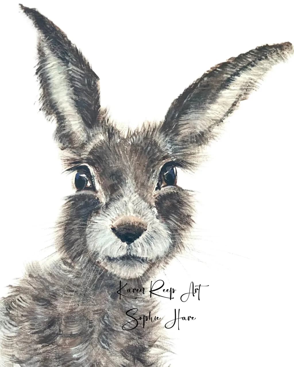 Curious Hare