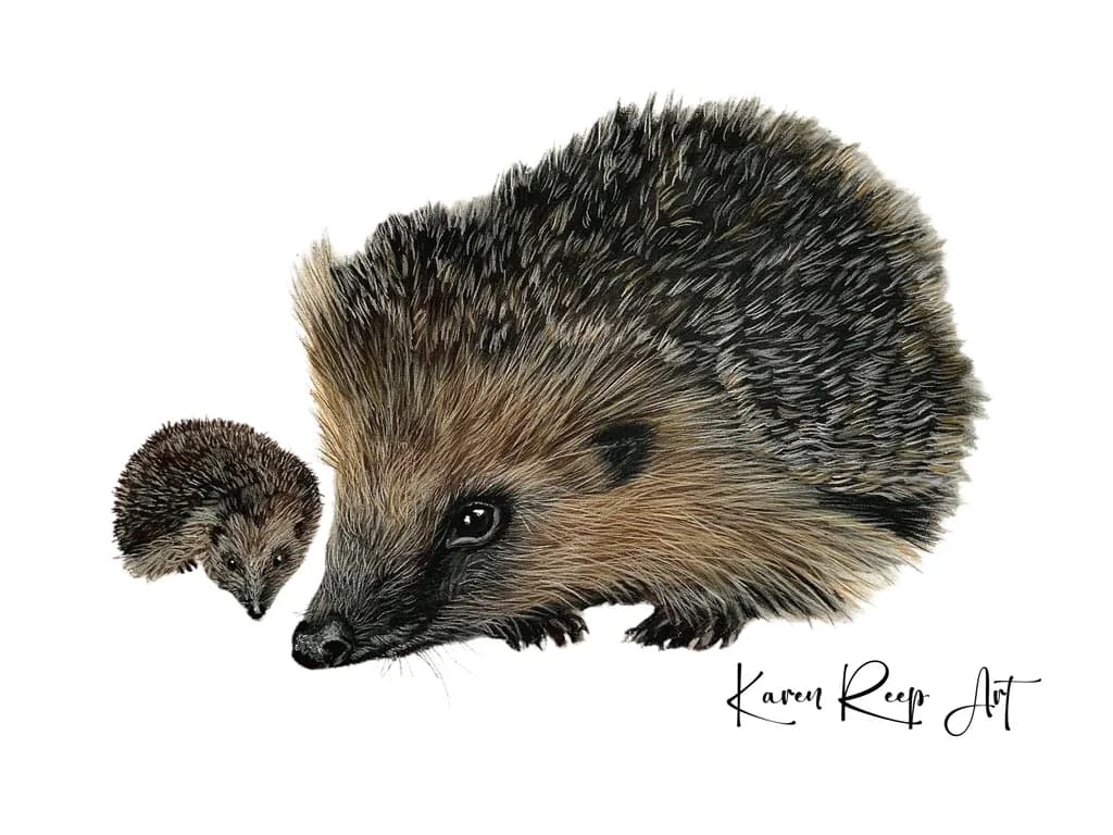 Hedgehog Duo