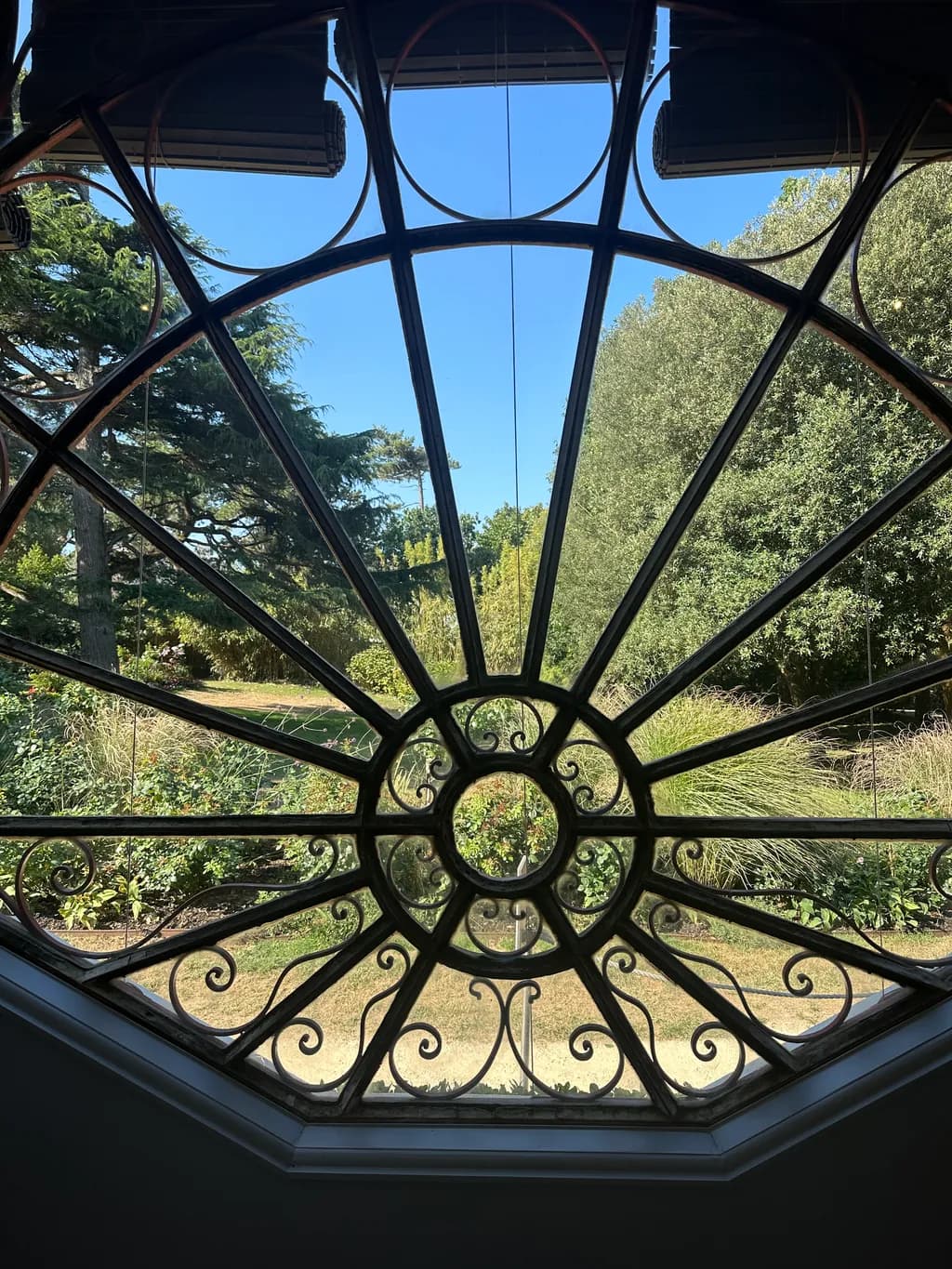 Garden View Through Window