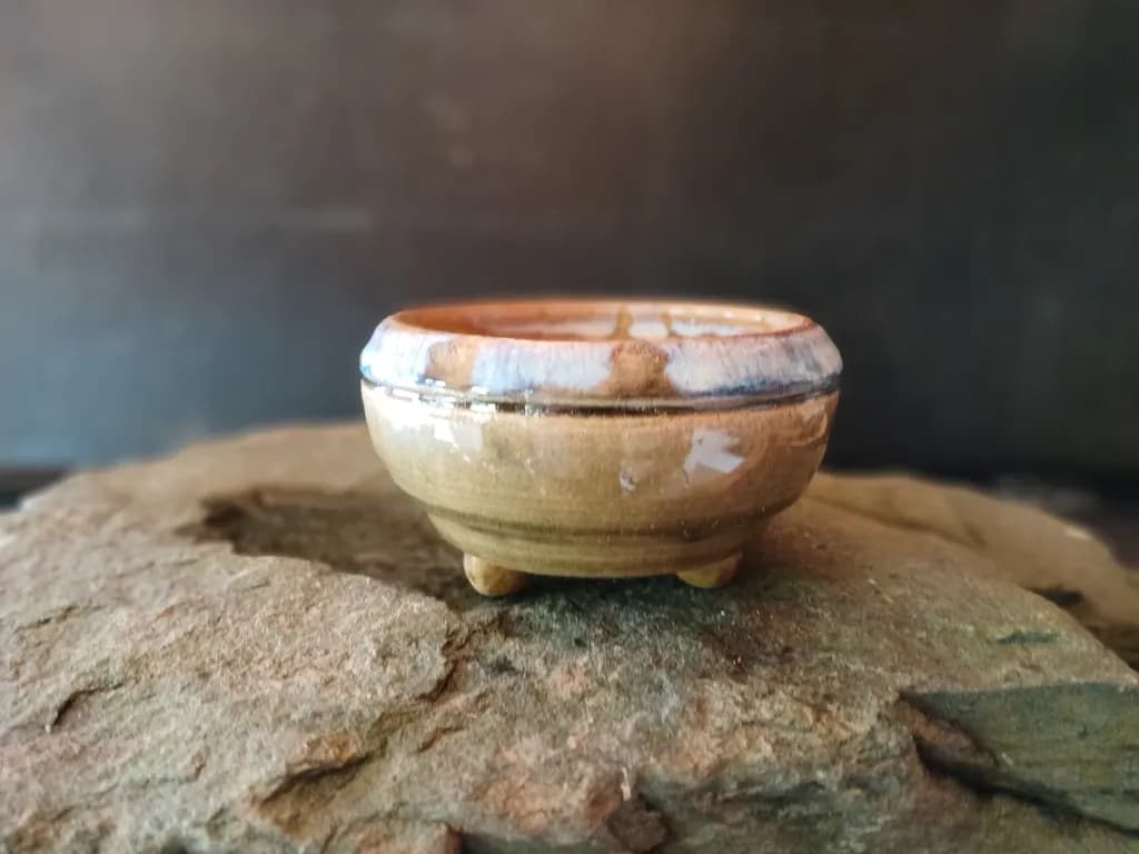 Earthbound Vessel