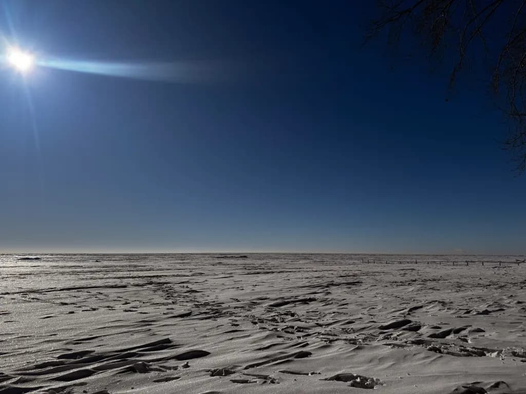 Frozen Expanse