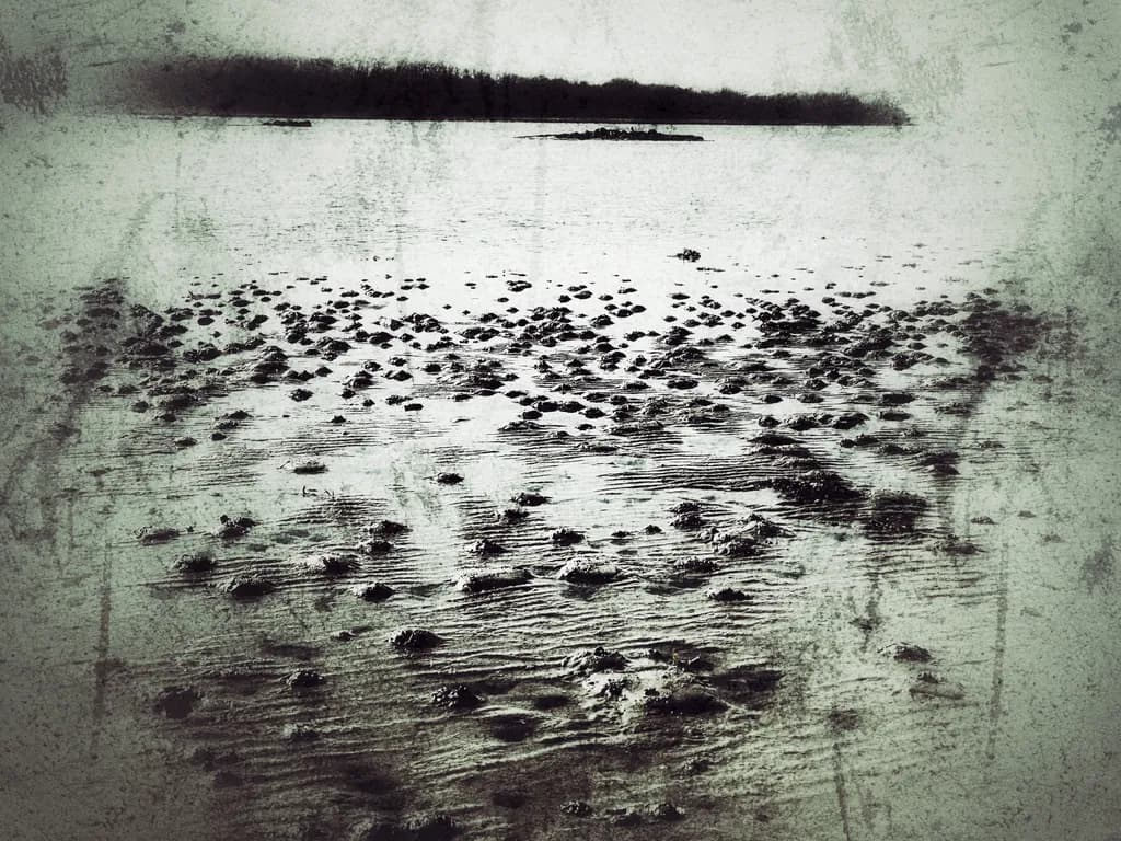 Whispers of the Tides: A Monochrome Reflection on Nature's Canvas