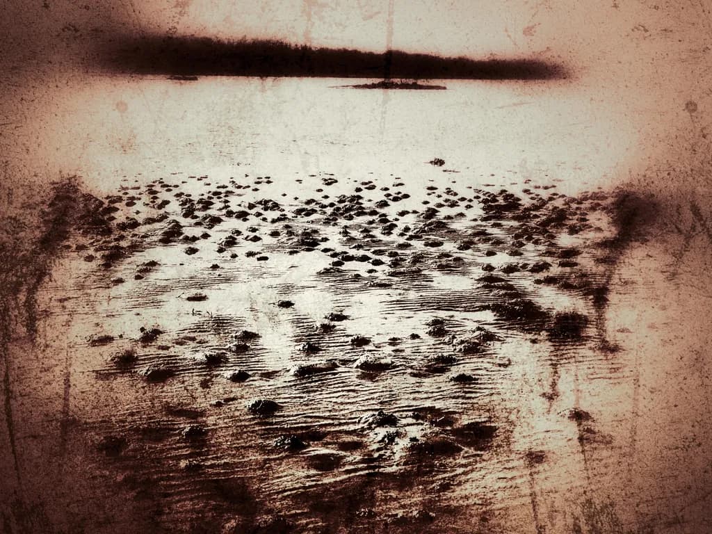Whispers of the Tides: A Serene Reflection on Nature's Canvas