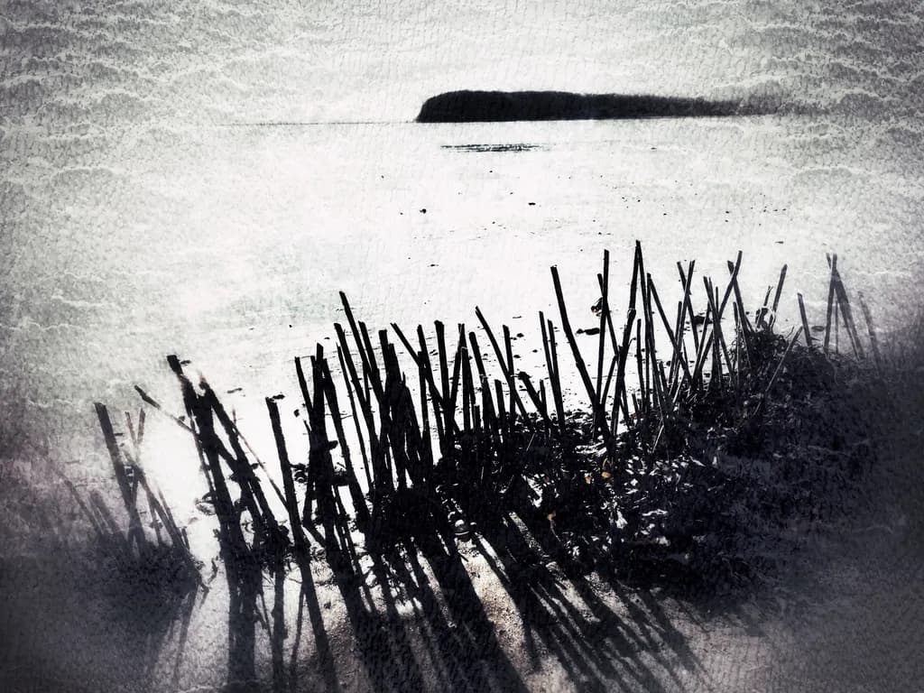 Whispers of the Shore: A Monochrome Reflection on Nature's Resilience