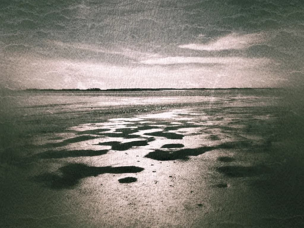 Whispers of the Tides: A Serene Reflection on the Shoreline at Dusk