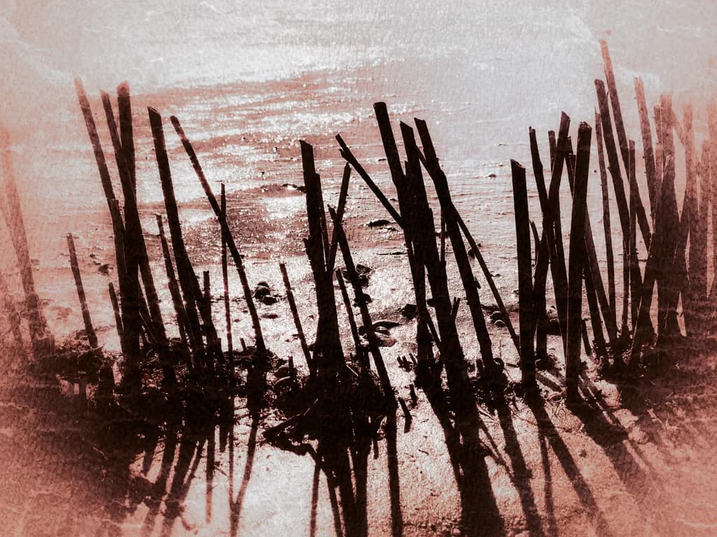 Whispers of the Shore: Silhouettes in the Sand