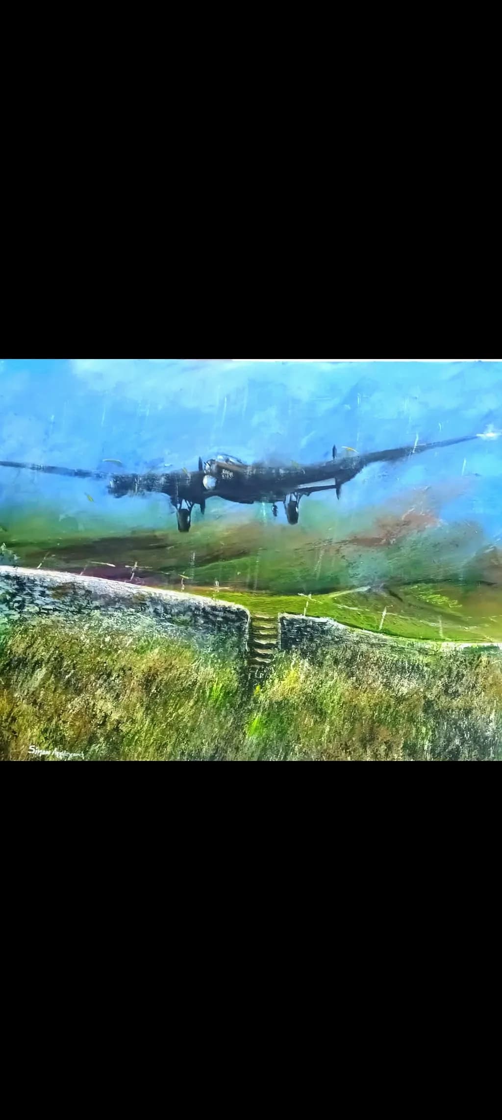Vintage Flight Over Serene Landscapes: A Tribute to Aviation and Nature