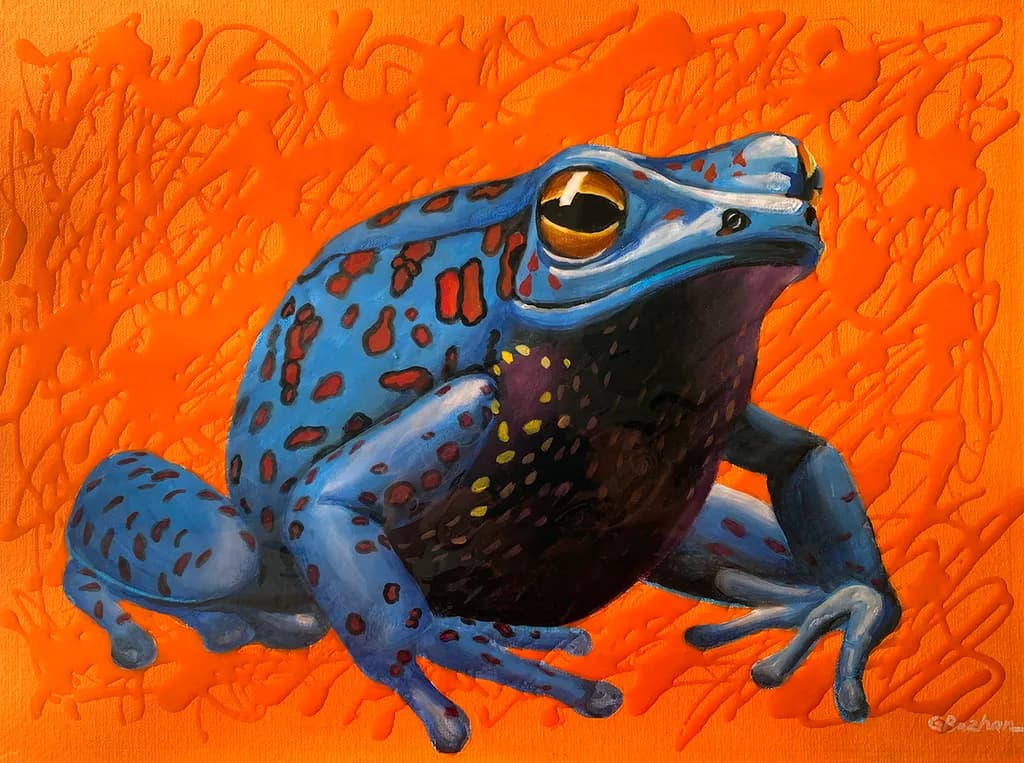 Frog in Focus