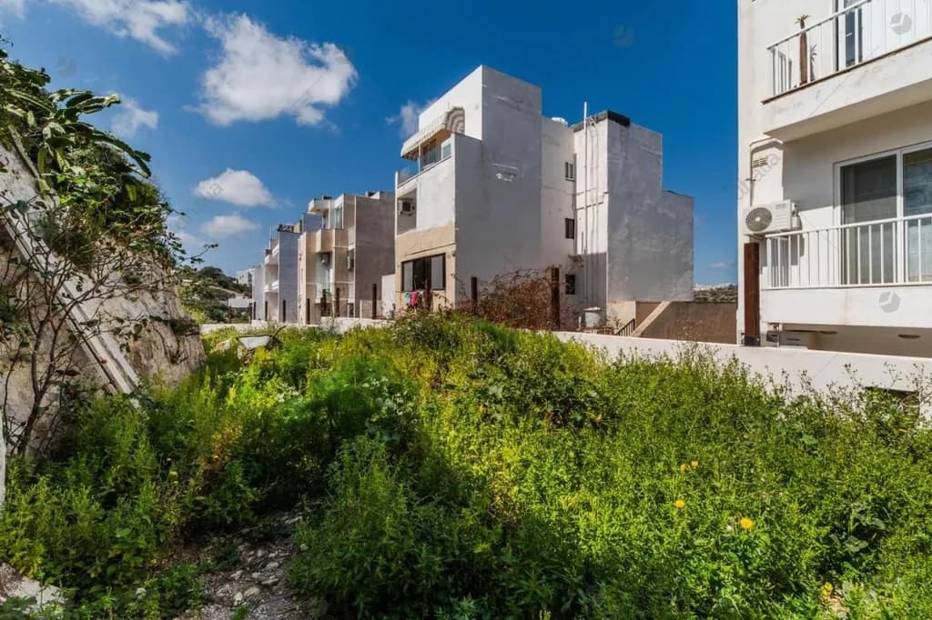 Urban Oasis: Nature's Resilience Amidst Modern Architecture