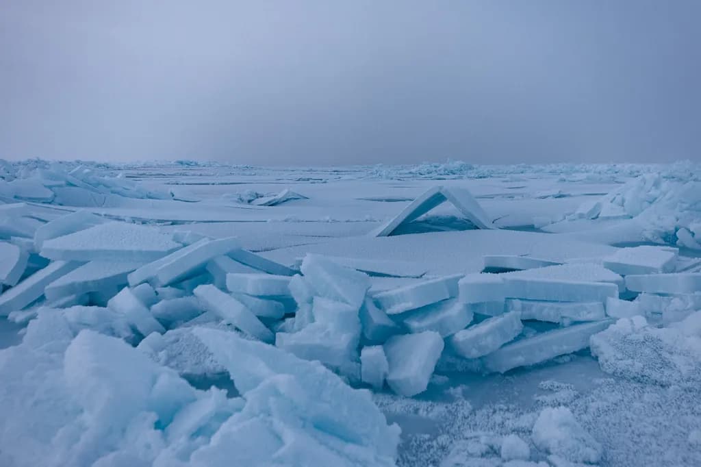 Frozen Serenity: A Tranquil Landscape of Ice and Stillness