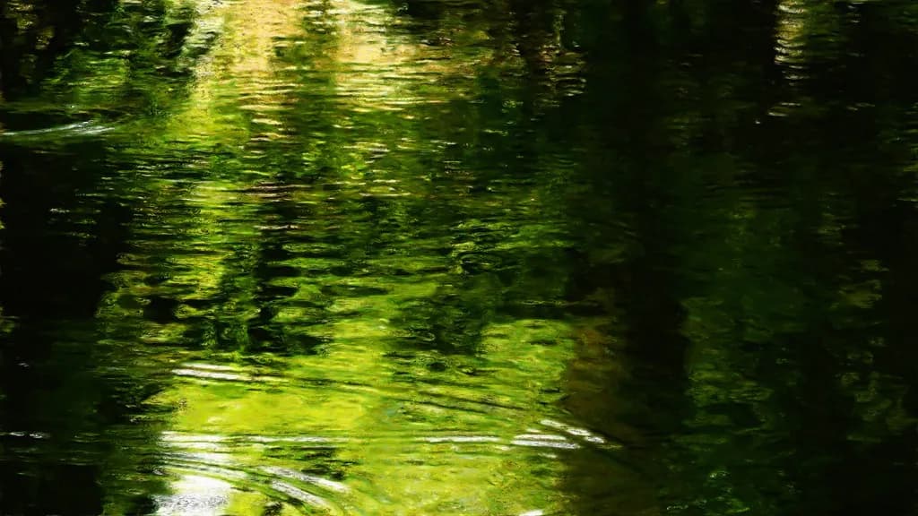 Whispers of Reflection: A Journey Through Nature's Embrace