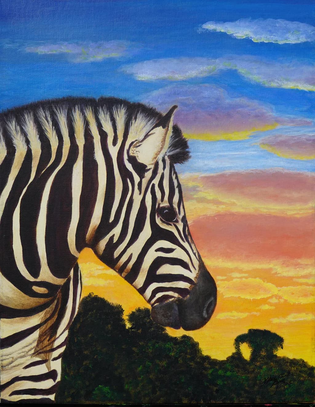 Majestic Zebra at Sunset: A Serene Encounter with Nature's Beauty