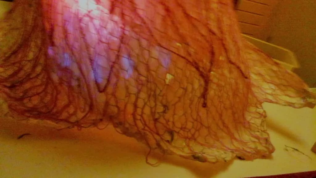 Whispers of Light: A Delicate Dance of Color and Texture in Fabric Art