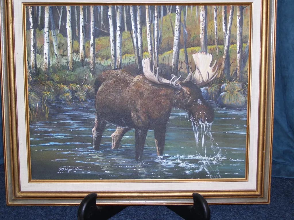 Moose in Birch Forest