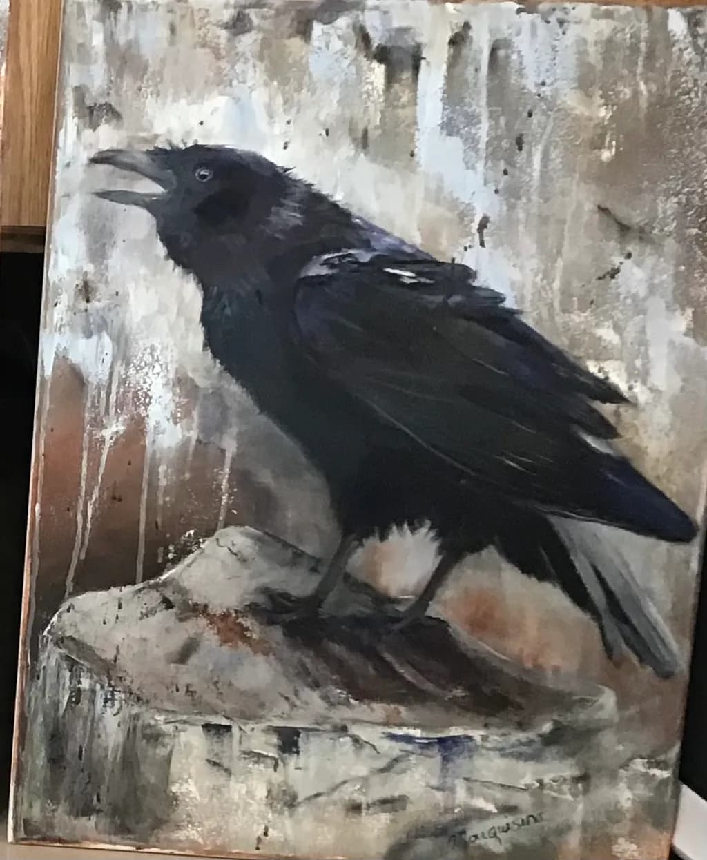 Raven on Rock